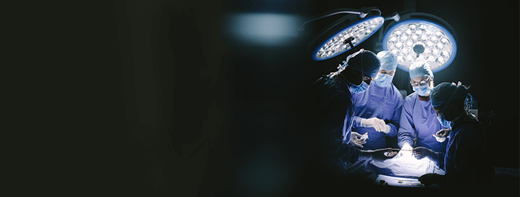 Search Header Image